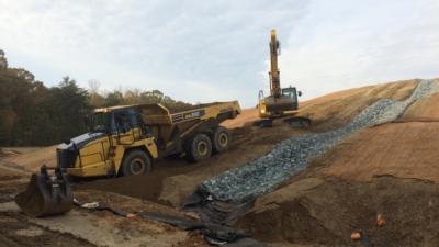 Maryland Ash Management 00